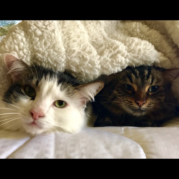 Meet your Posher, Deirdra - Picture 10 of 13